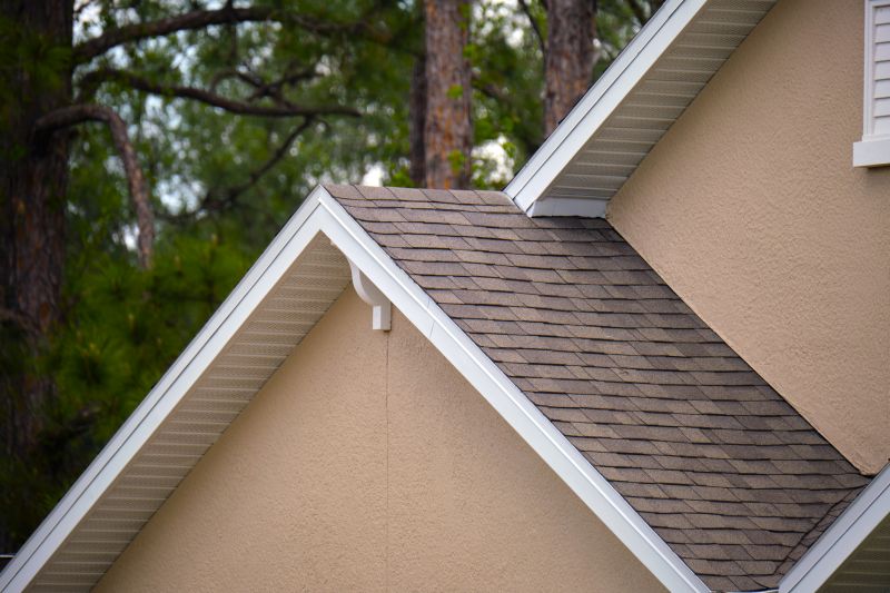 Damaged Roof Repair